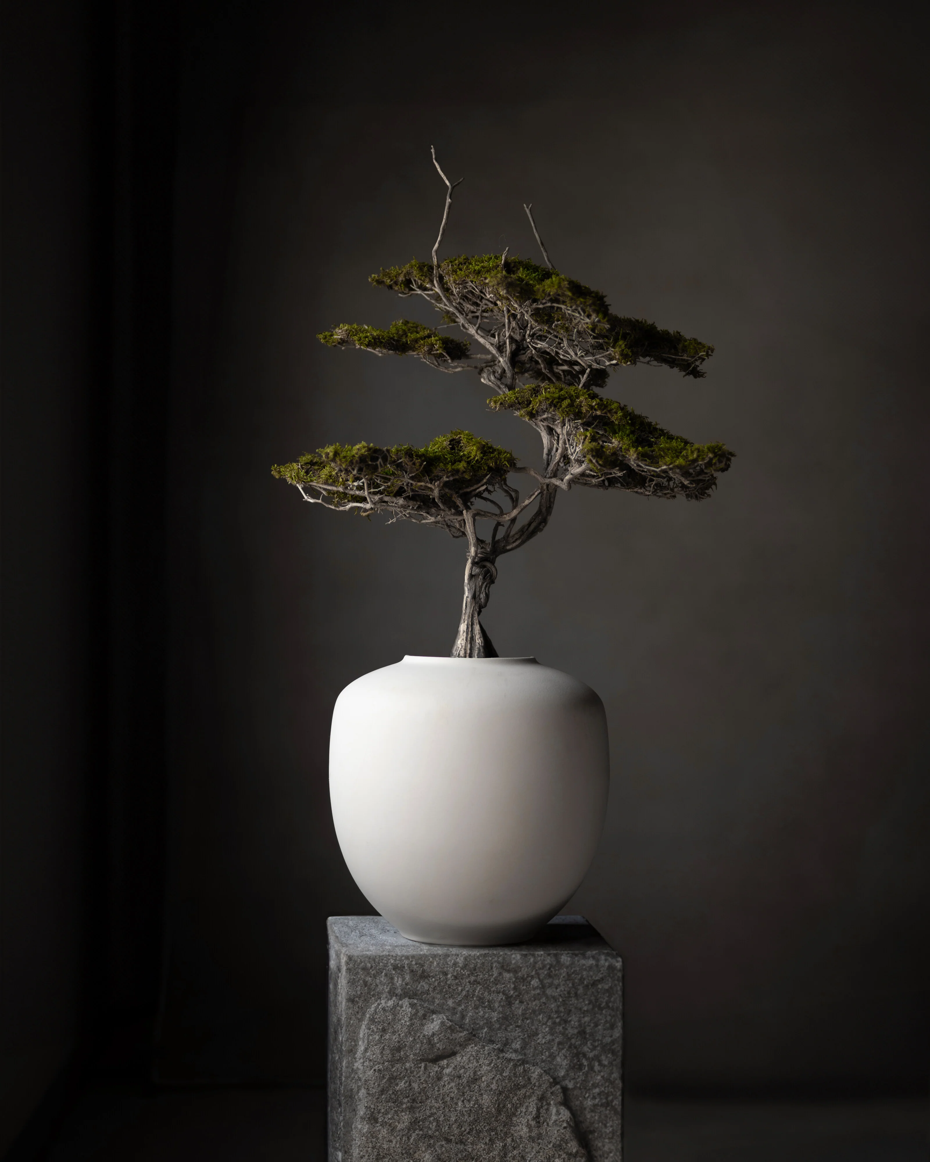 Sunao Vase, Medio - Birch - Image 10